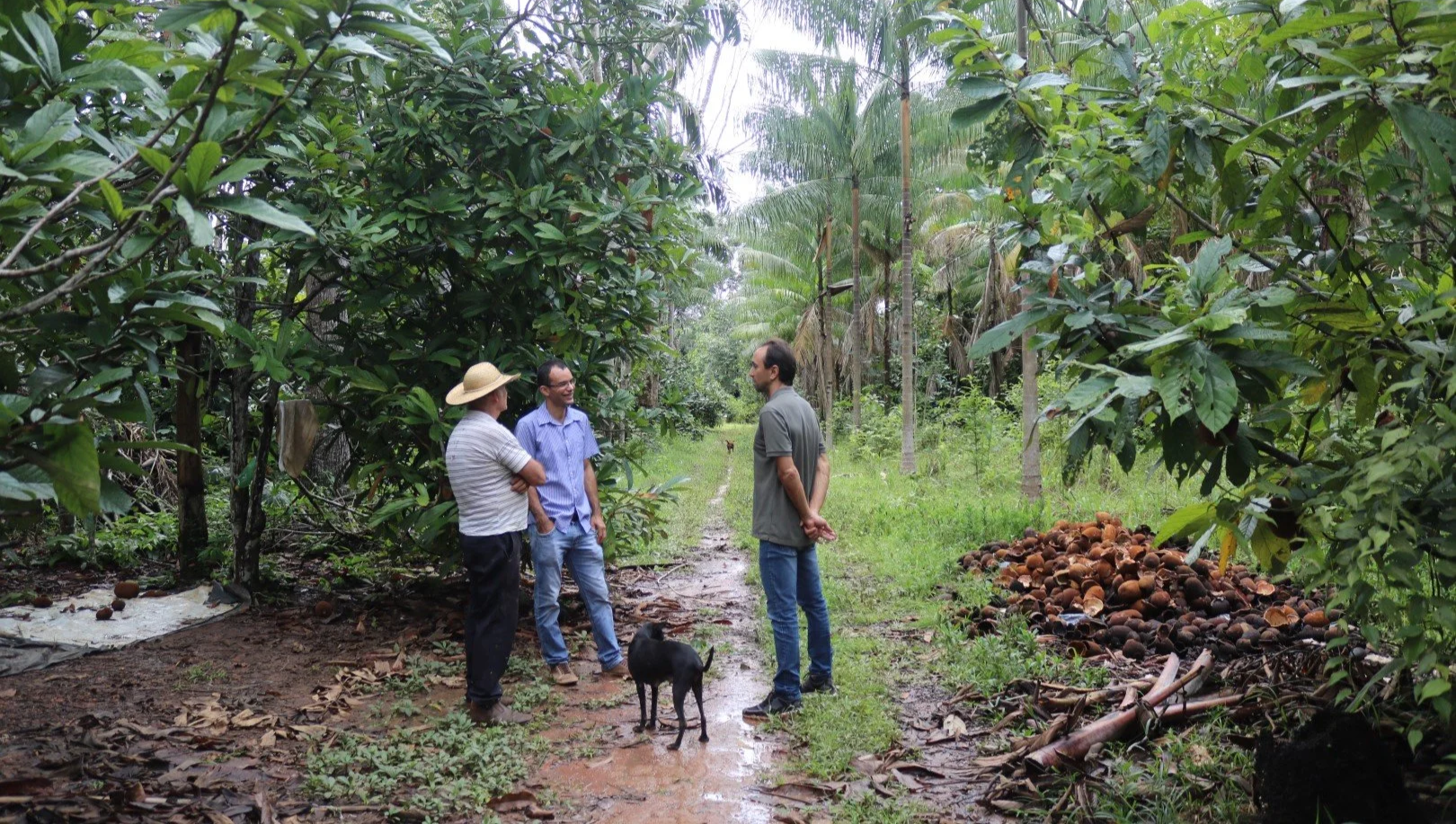 Regenerative agroforestry field visit in the Brazilian Amazon — connecting supply chains to global market execution.